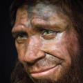 Neandertalien spy 2
