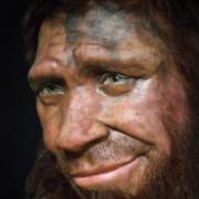 Neandertalien spy 2