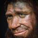 Les neandertaliens européens mieux outillés que les premiers hommes modernes