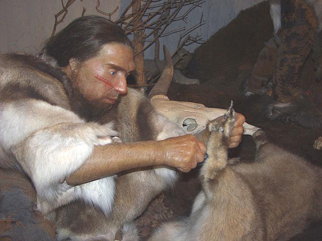 Neanderthal in museum