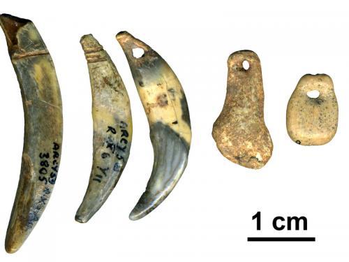 neanderthals-tools.jpg