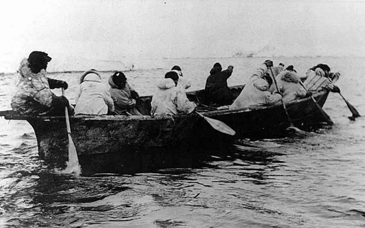Neolithic scandinavians used animal skin boats 3 jpg