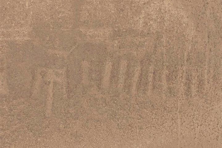 Newgeoglyphe nasca