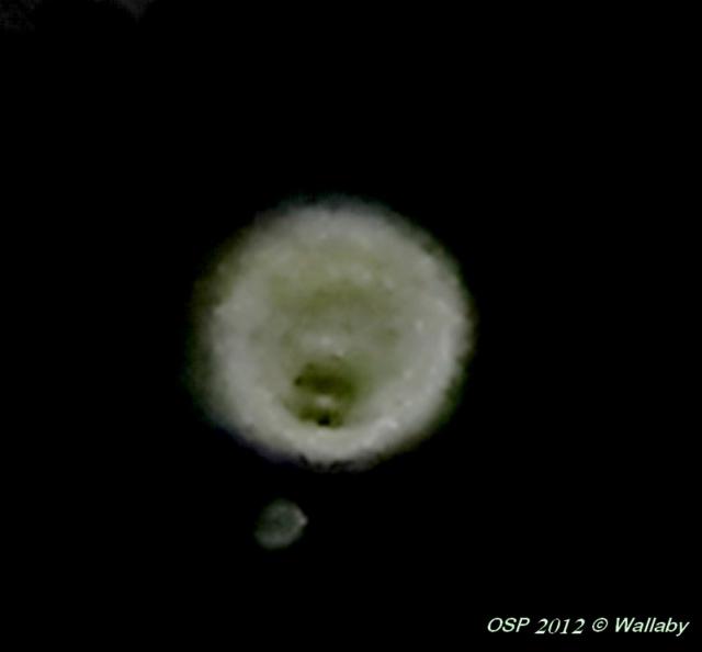 orbe-14-mars-2012.jpg