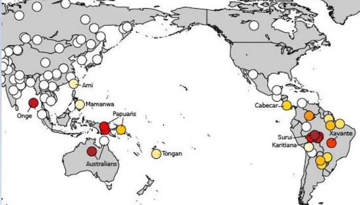 Origine adn ameriquedusud australie