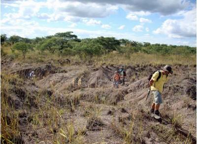 La vie a bien failli disparaître avant les dinosaures