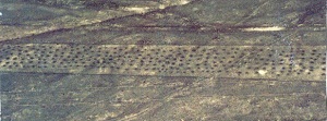 Palpa inscription mini