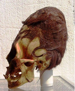 Paracas skull with its red hair mini
