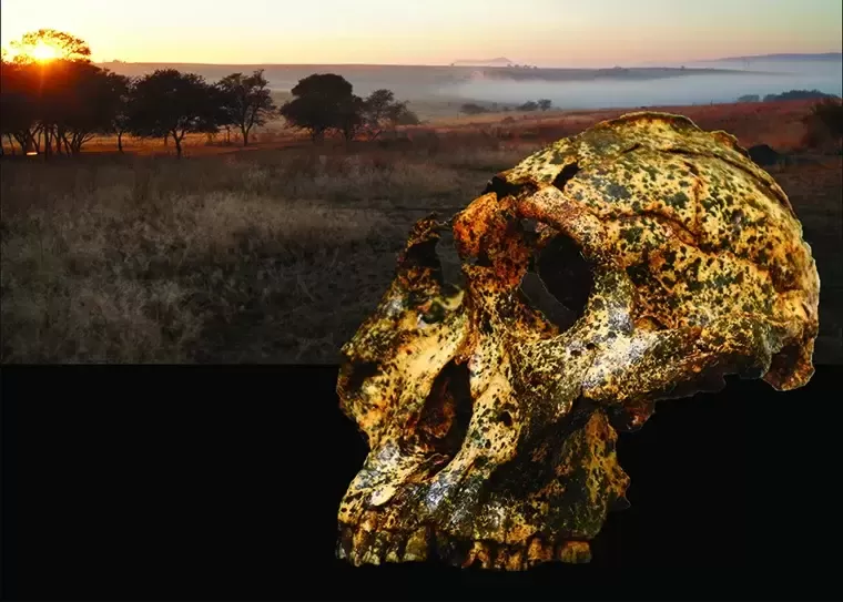 Evolution rapide chez une espèce humaine éteinte