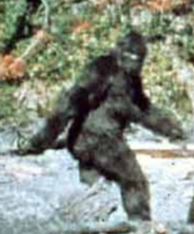 patterson-bigfoot-jpg.jpg