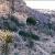 USA : Grotte de Pendejo, datations du Pléistocène