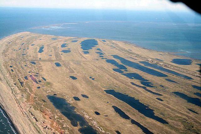 Alaska : incendies et humains détectés datés de 32 000 ans ?