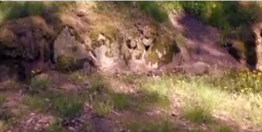 Pologne : découverte de 150 sites datés de 5500 ans environ