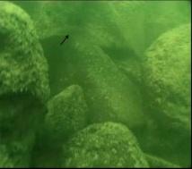 Une pyramide ou temple mégalithique dans le lac de Tibériade