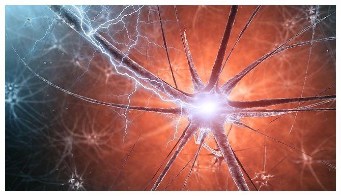 Deux scientifiques disent prouver l'existence de l'âme humaine quantique