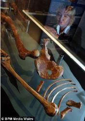 Bataille pour la Dame Rouge de Paviland