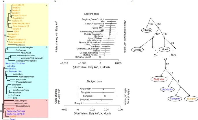 Relation genetique avec les humains actuels et anciens fig2