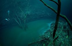 riviere-sousmarine-cenote-angelina-yucatan0.jpg