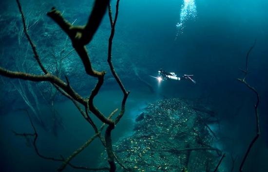 riviere-sousmarine-cenote-angelina-yucatan3.jpg