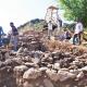 Turquie : découvertes dans les ruines de Sardes, Capitale des Lydiens