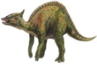 Saurolophussm