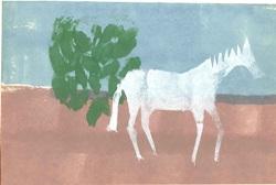 Les Aventures de Bacara