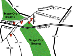 Scapeorswamp