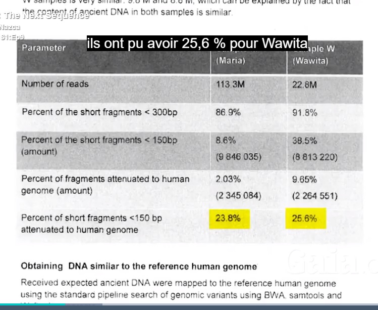 Sequencesmaria wawita humangenome