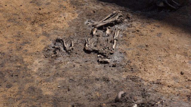 Slatina neolithic settlement sofia bulgaria 8000 year old graves prehistory 4