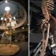 Un squelette d'un géant humain préhistorique de 15 mètres reconstitué ?