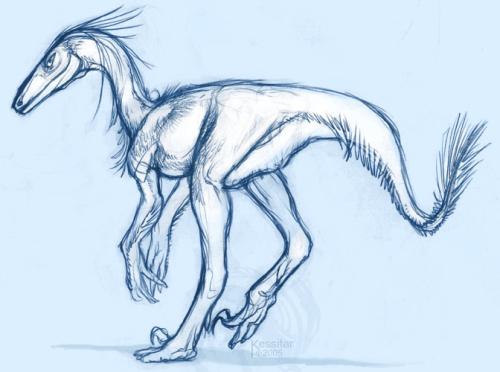 stenonychosaurus-by-sitar.jpg