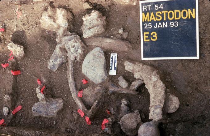Hominidé en Californie il y a 130 000 ans une confirmation ?