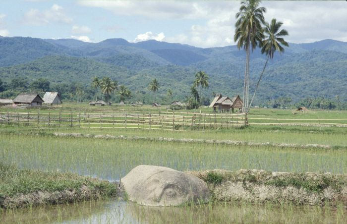 Sulawesi taman nasional lore lindu indonesie
