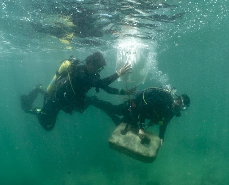 Anomalies d'élévation marine détectées par des archéologues
