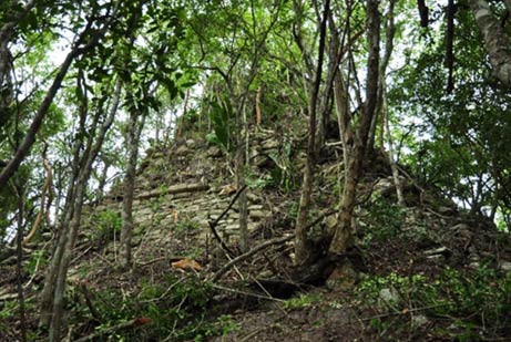 Temple pyramid mayan city lagunita