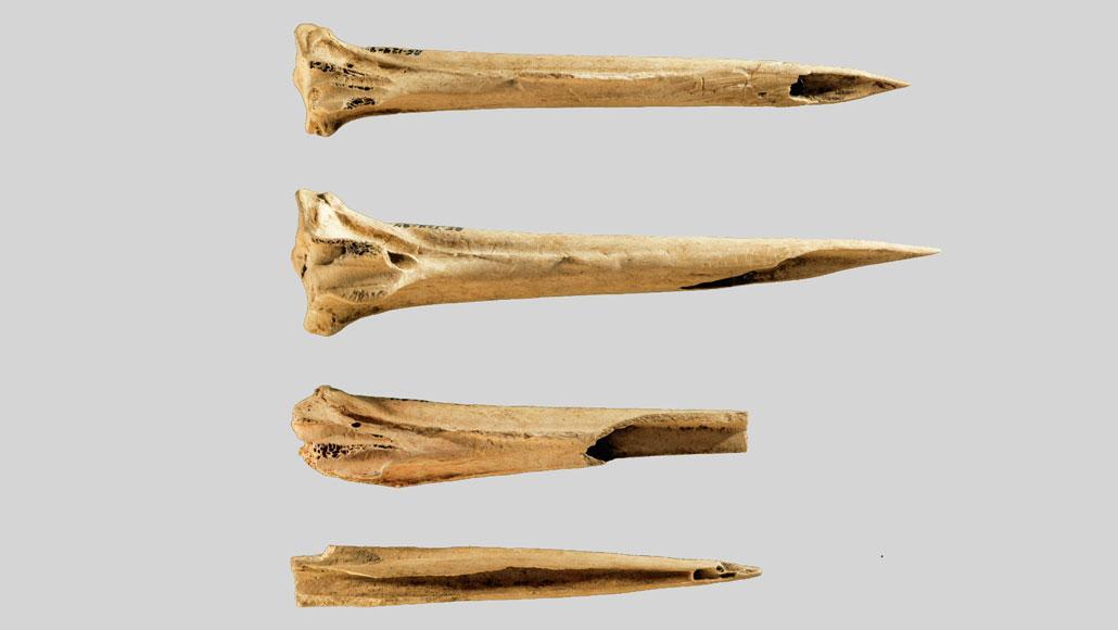USA: Des outils de tatouage de  plus de 5 500 ans découverts