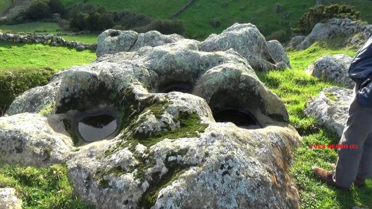 Terceira acores bassins cupules yherbo