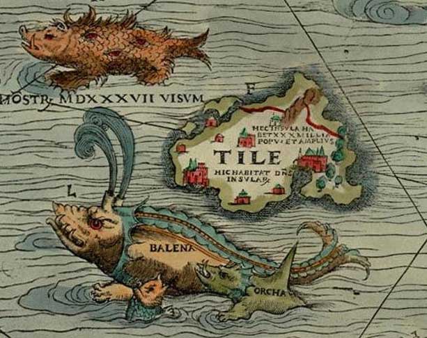 Thule carta marina olaus magnus