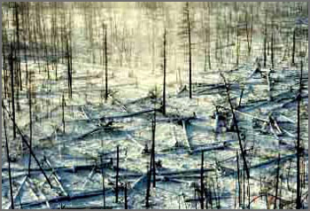 Tunguska01 1