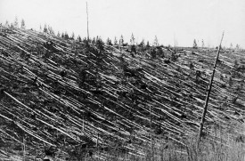 tunguska1.jpg