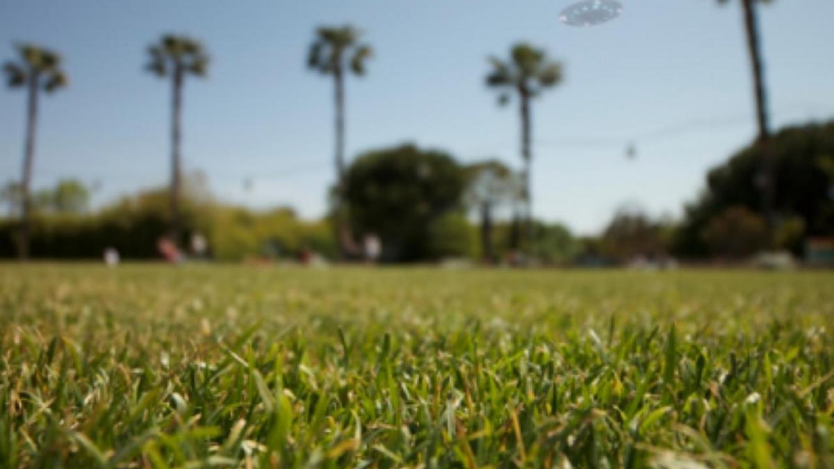 OVNIs : Juillet suite 1