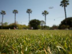 ufo-13-7-2012-nice-airport.jpg