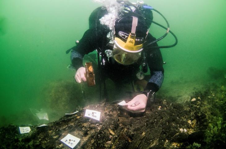 Uk stone age boat site 04