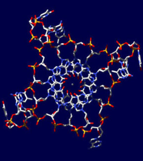 un-adn-avec-une-structure-a-quatre-brins.jpg