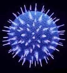 De plus en plus de preuves : le SIDA aurait été créé artificiellement