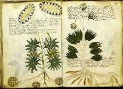 voynich-manuscript2.jpg