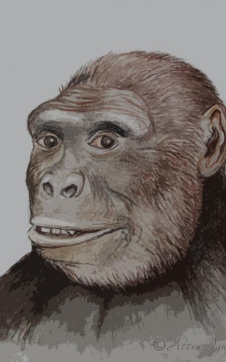 Vue d artiste de graecopithecus