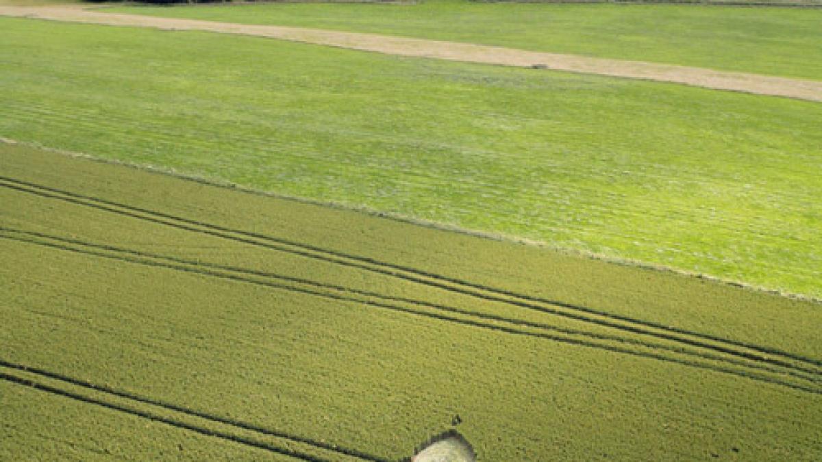 Crop Circle triangulaire en Grande-Bretagne
