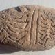 Bulgarie : De nouvelles céramiques gravées de symboles datées de 8000 ans